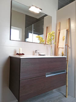 bathroom cabinets and vanities